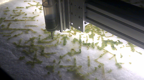 allison kudla: capacity for (urban eden, human error) - foto: bernhard jenny