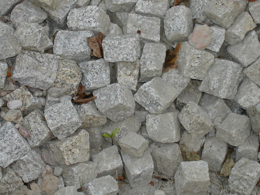 foto: johnnie bravo (creative commons) foto: johnnie bravo (creative commons)