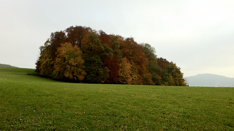 spätherbst in salzburg (bernhard jenny)