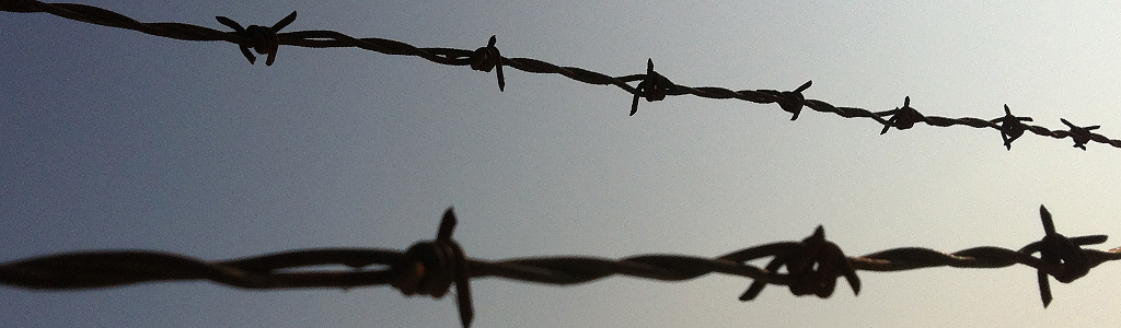 werden wir uns&nbsp;leben