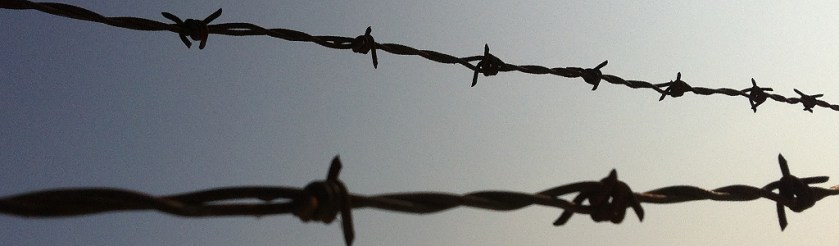 stacheldraht foto bernhard jenny