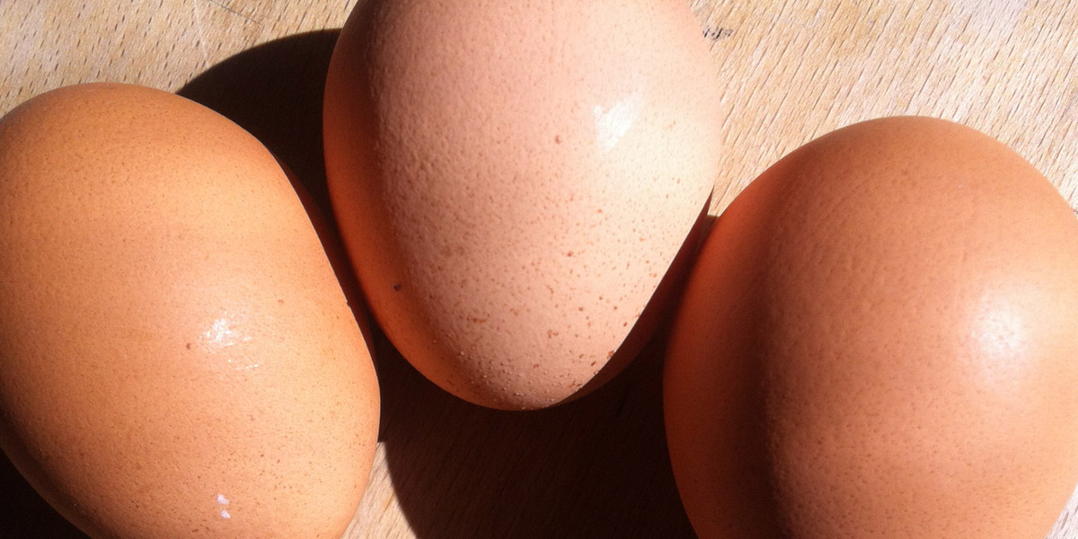 fall amina: eiertanz ohne&nbsp;ende