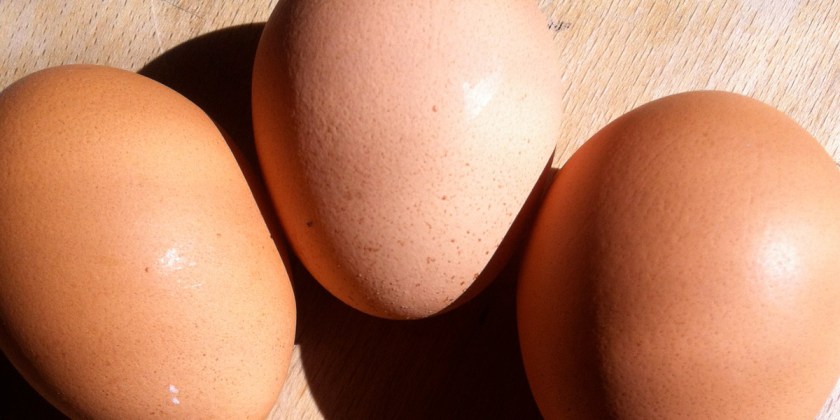 foto: bernhard jenny foto: bernhard jenny