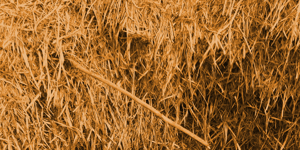 foto: bernhard jenny