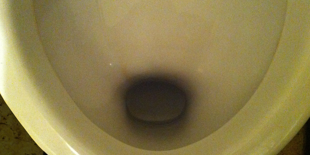 empörung und fassungslosigkeit ist&nbsp;zuwenig