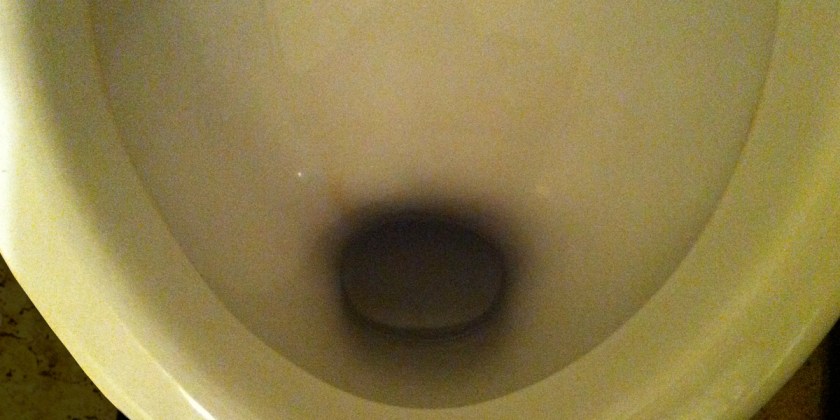 harald dobernig foto: bernhard jenny