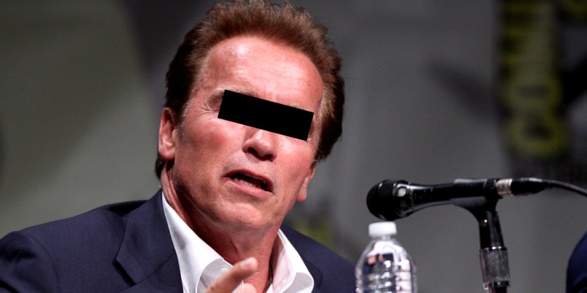arnold schwarzenegger foto: gage skidmore, creative commons flickr bearbeitung: bernhard jenny