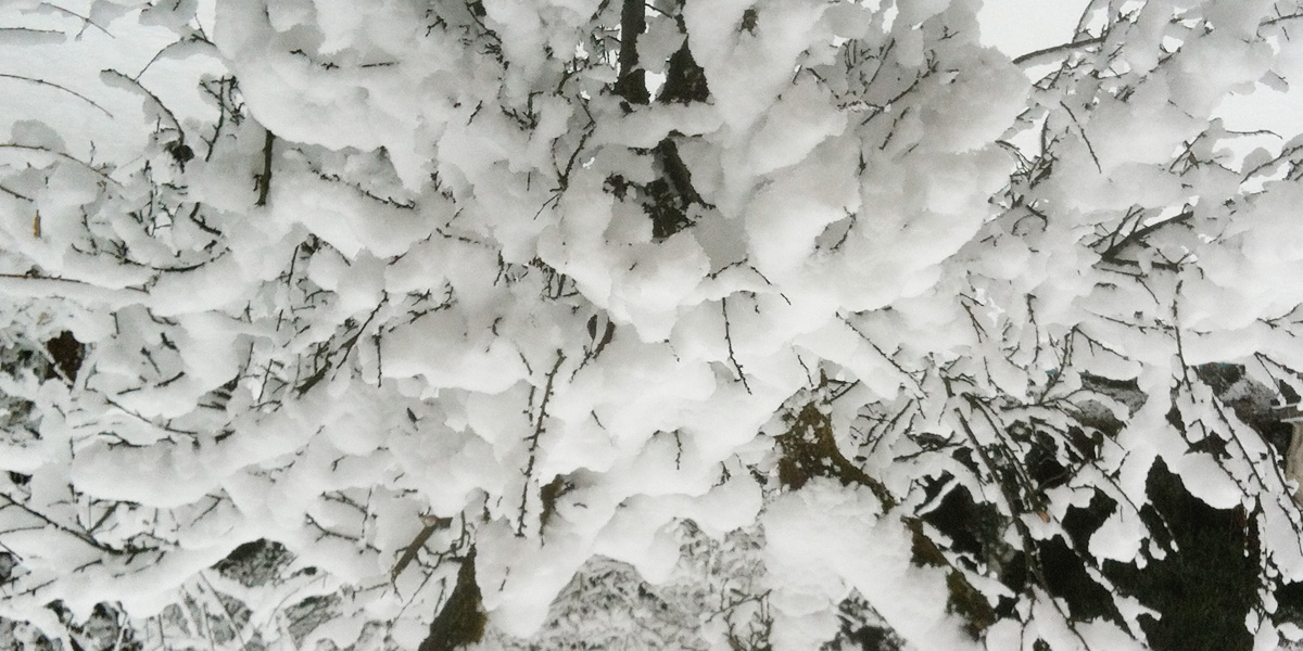 foto: bernhard jenny