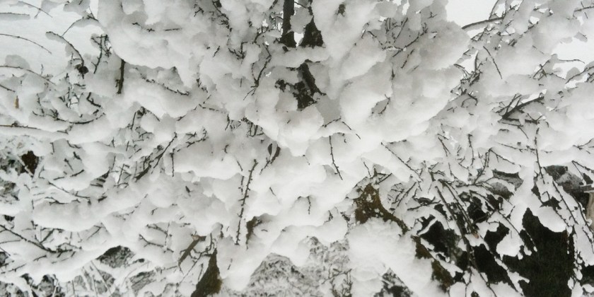 foto: bernhard jenny