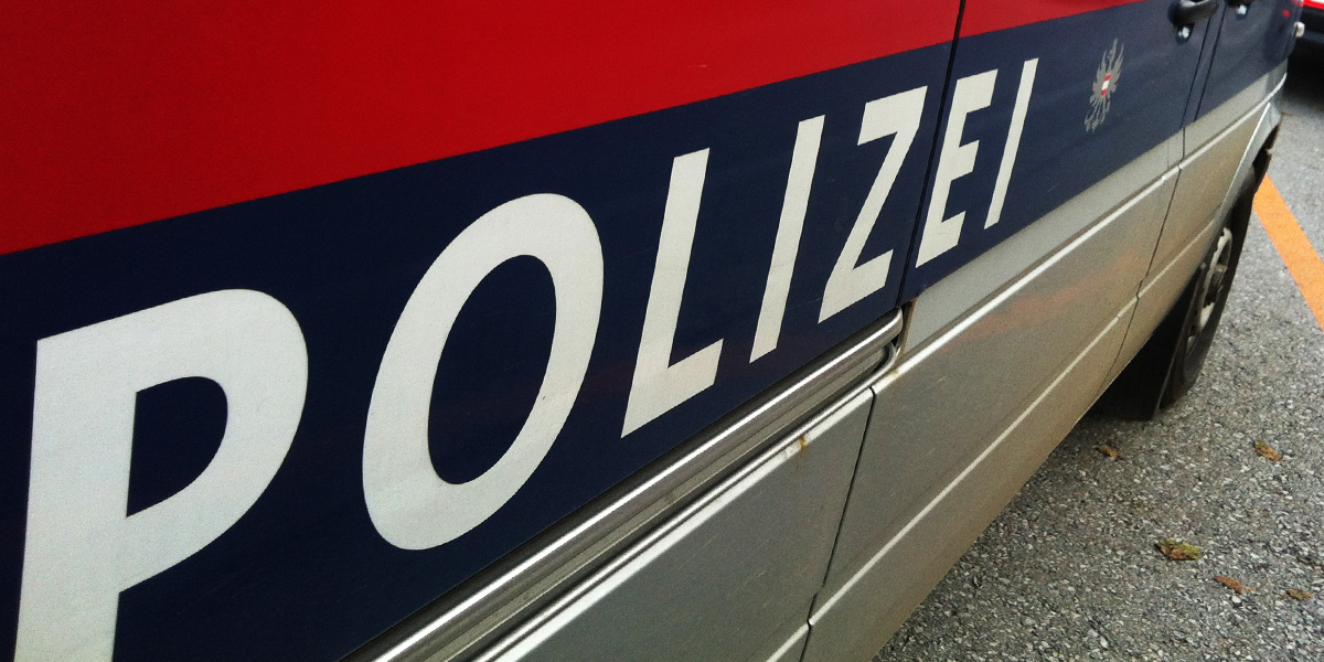 hochrechnung bei polizeigewalt?