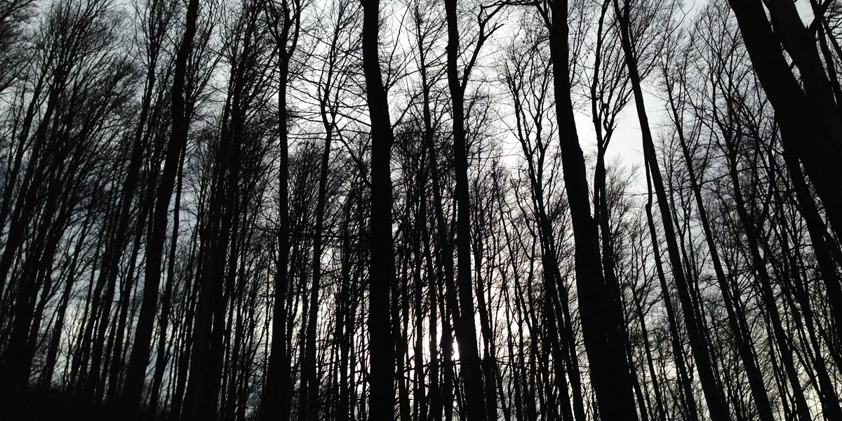 widerstand will täglich entdeckt werden. aber&nbsp;wo?