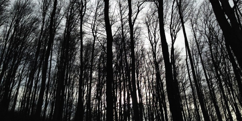 foto: bernhard jenny