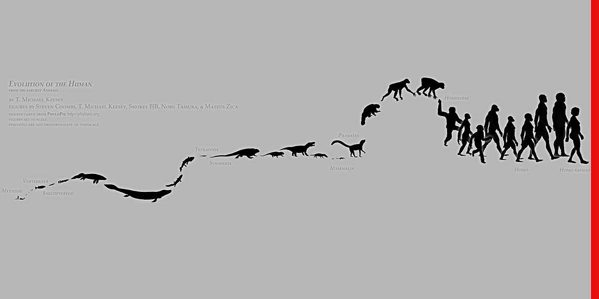 die evolution ist&nbsp;abgesagt.