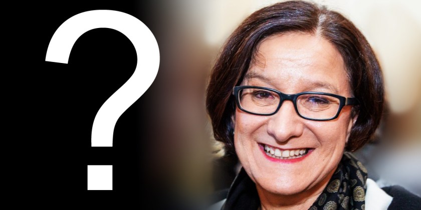 foto: oevpwien cc by nc sa überarbeitung bernhard jenny