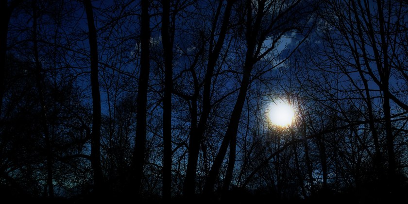 foto: bernhard jenny cc by nc