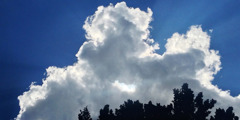 foto: bernhard jenny cc by nc