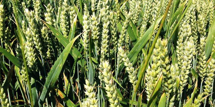 foto: bernhard jenny cc by nc