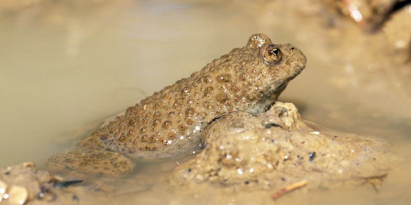 frankvassen_by_7598659498_4d52a211d7_o