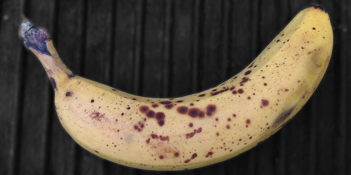 rechtsextreme drohen offen mit&nbsp;mord