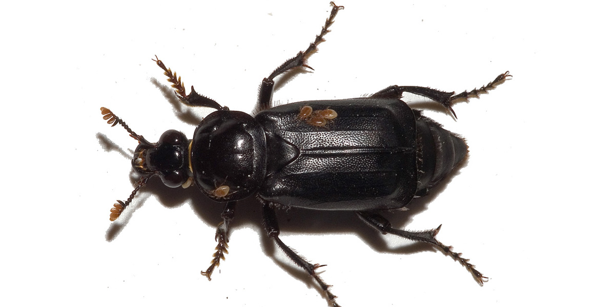 ich wundere mich gerade, was alles&nbsp;geht.