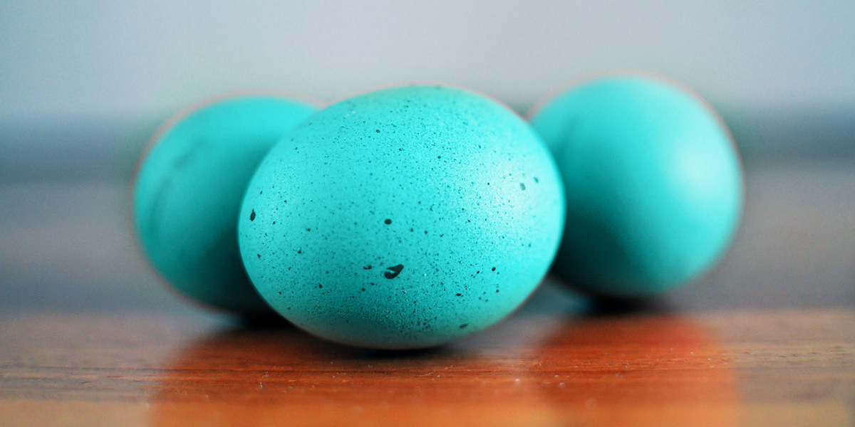 gibt es zu ostern noch türkise&nbsp;eier?