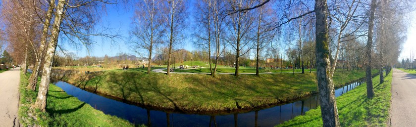 glanspitz_IMG_1679 (1)