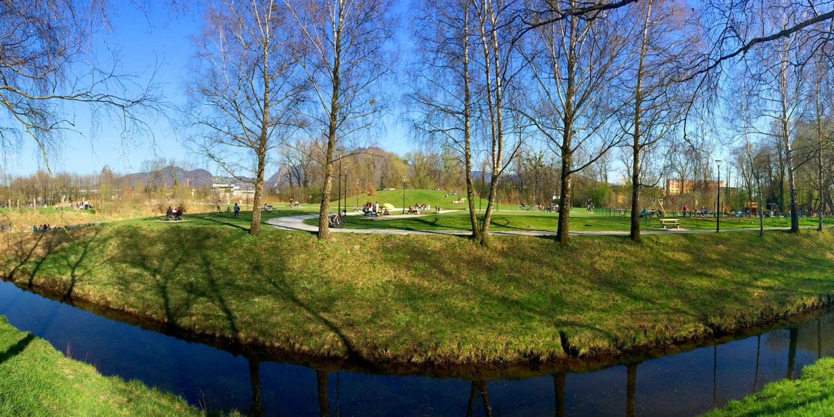 harry p. ist der&nbsp;verbotemeister.