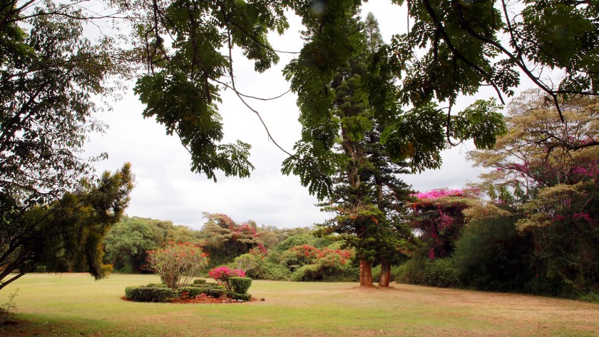 cristina colombo kenia nairobi IMG_0219.jpg