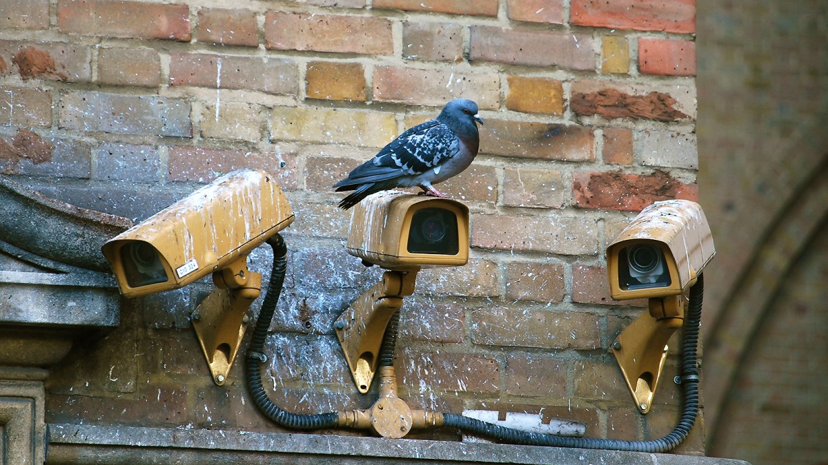 wie lange noch? (#corona&nbsp;#21)