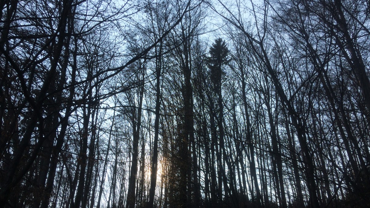 eine solidargesellschaft? (#corona&nbsp;#14)