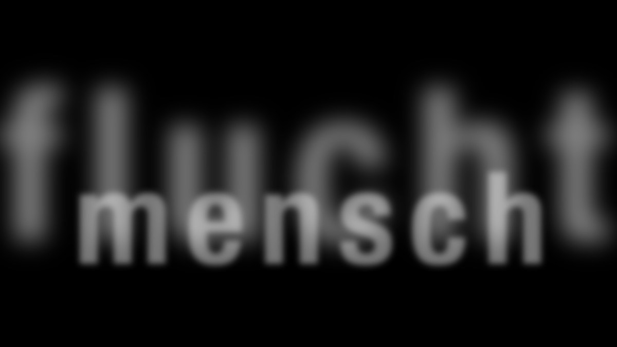 ausgerechnet am weltflüchtlingstag