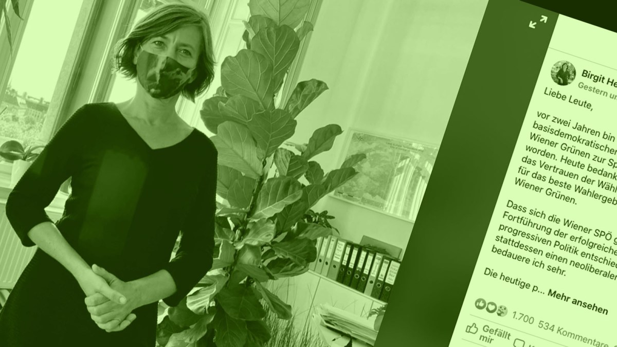 die grünen schaufeln sich ihren abgrund&nbsp;selbst.