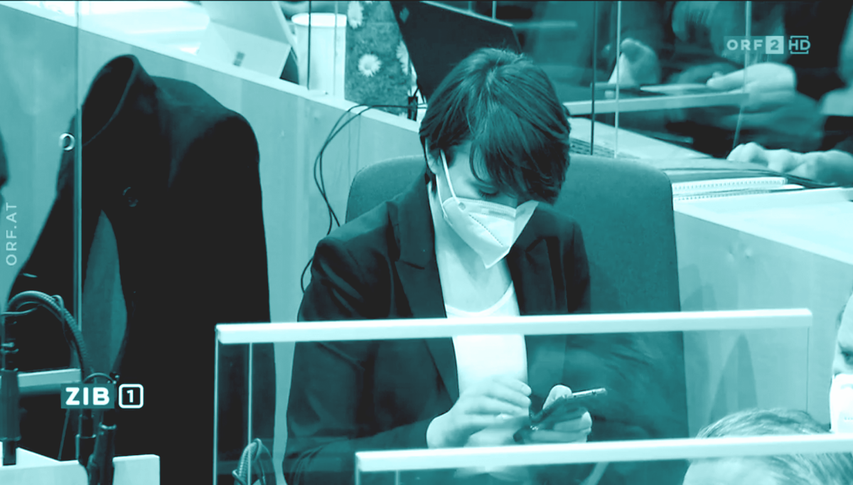 die grünen sind keine menschenrechtspartei mehr.