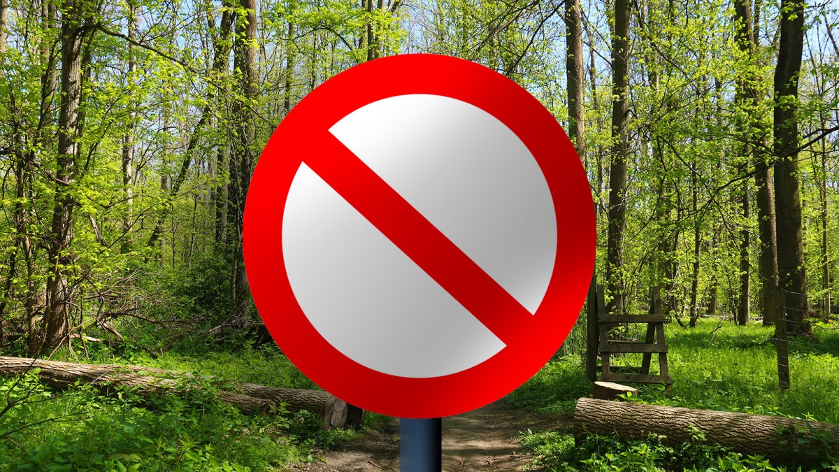 in preuningen regieren die&nbsp;verbote.