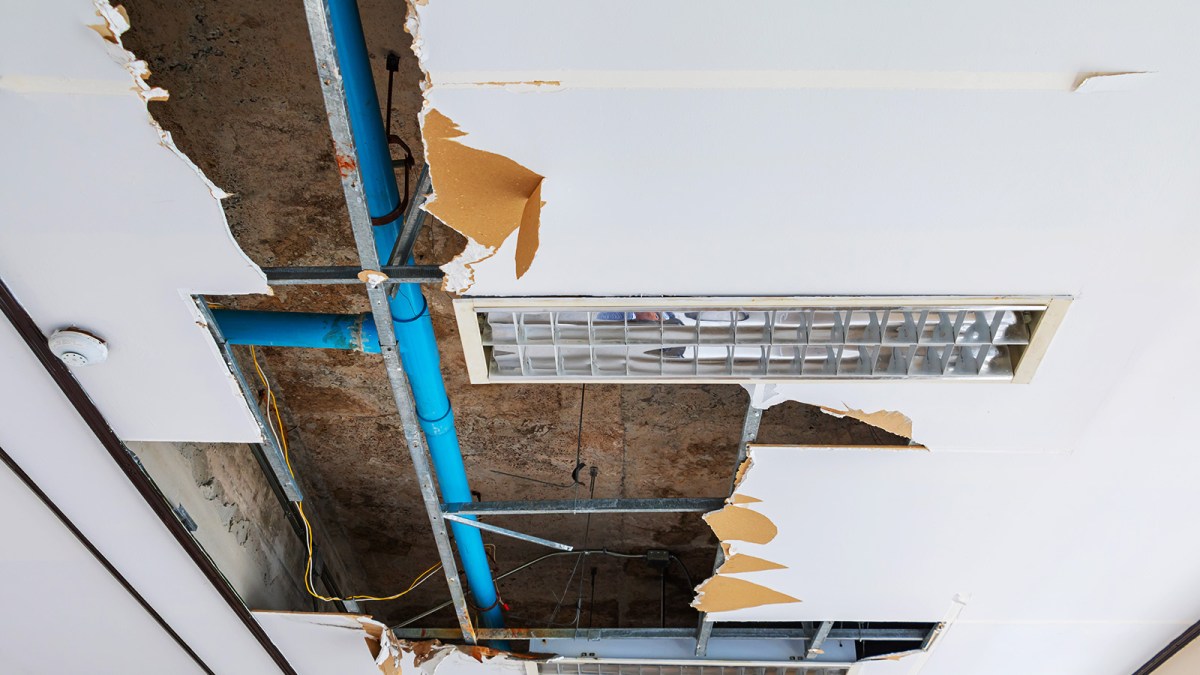 5 jahre sanierung durch wasserschaden&nbsp;zerstört