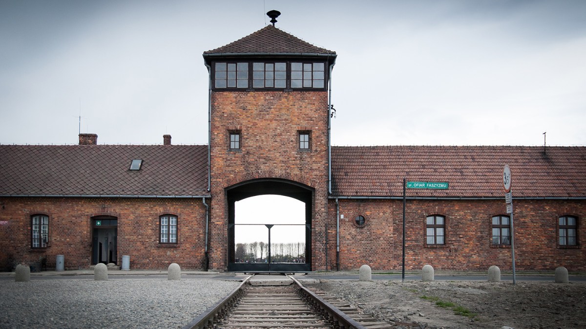 zwiespältige realitäten am holocaustgedenktag