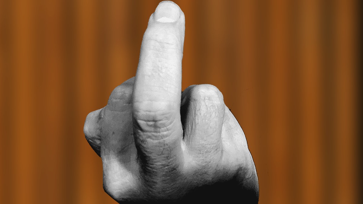 ist der rechtsradikale stinkefinger programm für walter&nbsp;rosenkranz?